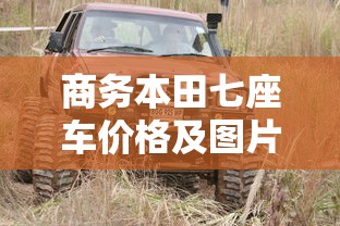 商务本田七座车价格及图片  第1张