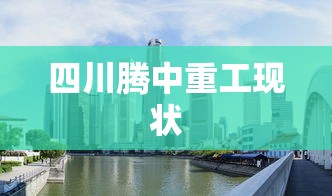 四川腾中重工现状  第1张
