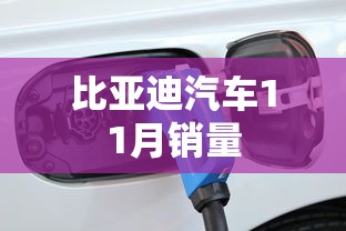 比亚迪汽车11月销量  第1张