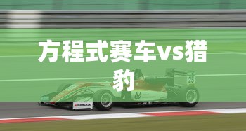 方程式赛车vs猎豹  第1张