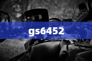 gs6452  第1张