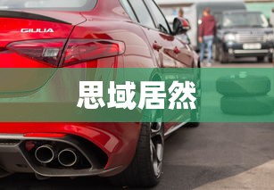 思域居然  第1张