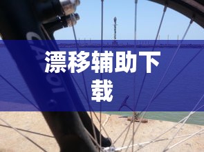 漂移辅助下载  第1张