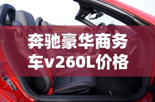 奔驰豪华商务车v260L价格及图片  第1张