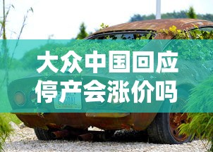 大众中国回应停产会涨价吗  第1张