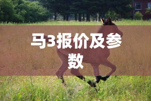 马3报价及参数  第1张