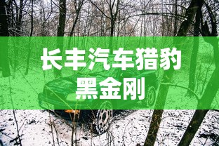 长丰汽车猎豹黑金刚  第1张