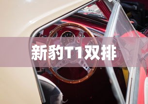 新豹T1双排  第1张