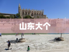 雪弗兰科鲁兹2010款1.8  第1张