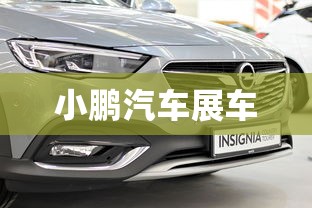 小鹏汽车展车  第1张