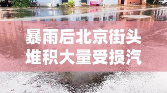 鹿鼎记98版网盘  第1张