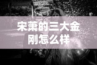 宋萧的三大金刚怎么样  第1张