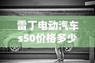 雷丁电动汽车s50价格多少钱  第1张