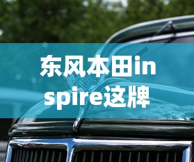 黑狐之风影在线观看免费  第1张