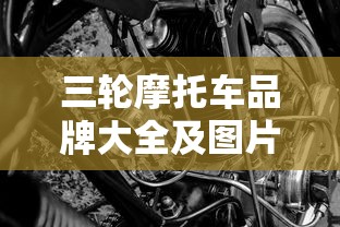 三轮摩托车品牌大全及图片欣赏  第1张