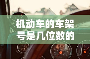 机动车的车架号是几位数的  第1张