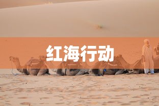 红海行动  第1张