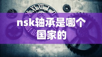 nsk轴承是哪个国家的  第1张