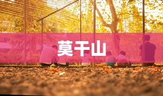 莫干山  第1张