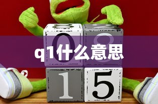 q1什么意思  第1张