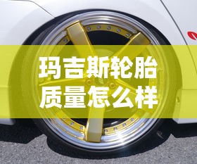 玛吉斯轮胎质量怎么样  第1张