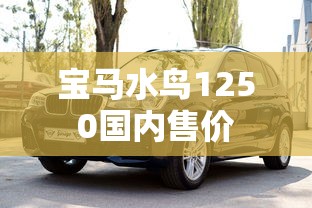 宝马水鸟1250国内售价  第1张