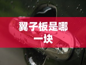 翼子板是哪一块  第1张