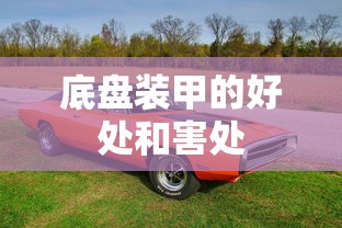 底盘装甲的好处和害处  第1张