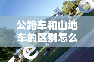 公路车和山地车的区别怎么选  第1张