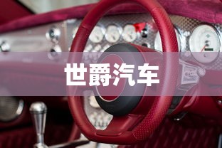 世爵汽车  第1张