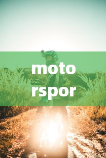 motorsport翻译成中文  第1张