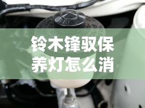 铃木锋驭保养灯怎么消除  第1张