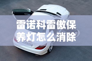 雷诺科雷傲保养灯怎么消除  第1张