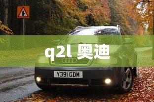 q2l 奥迪  第1张