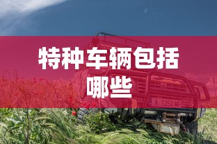 特种车辆包括哪些  第1张