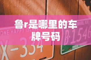 鲁r是哪里的车牌号码  第1张