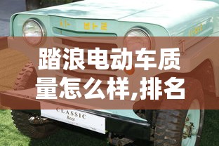 踏浪电动车质量怎么样,排名第几  第1张
