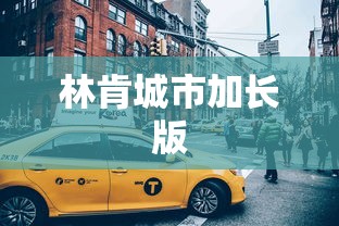 林肯城市加长版  第1张