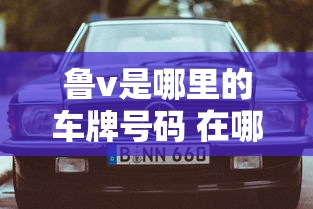 鲁v是哪里的车牌号码 在哪个区  第1张