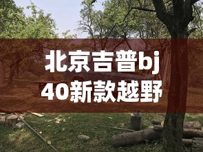北京吉普bj40新款越野车价格  第1张