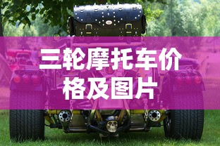 三轮摩托车价格及图片  第1张