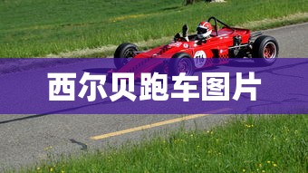 西尔贝跑车图片  第1张