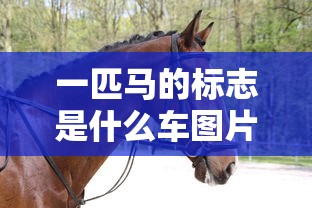 一匹马的标志是什么车图片  第1张