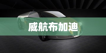 威航布加迪  第1张