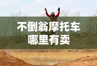 路特斯exige s  第1张