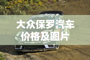 大众保罗汽车价格及图片  第1张