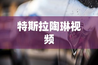 特斯拉陶琳视频  第1张