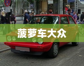 菠萝车大众  第1张