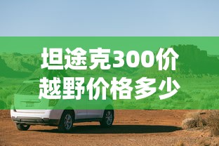 坦途克300价越野价格多少  第1张
