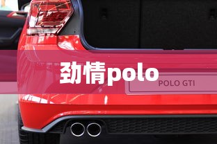 劲情polo  第1张